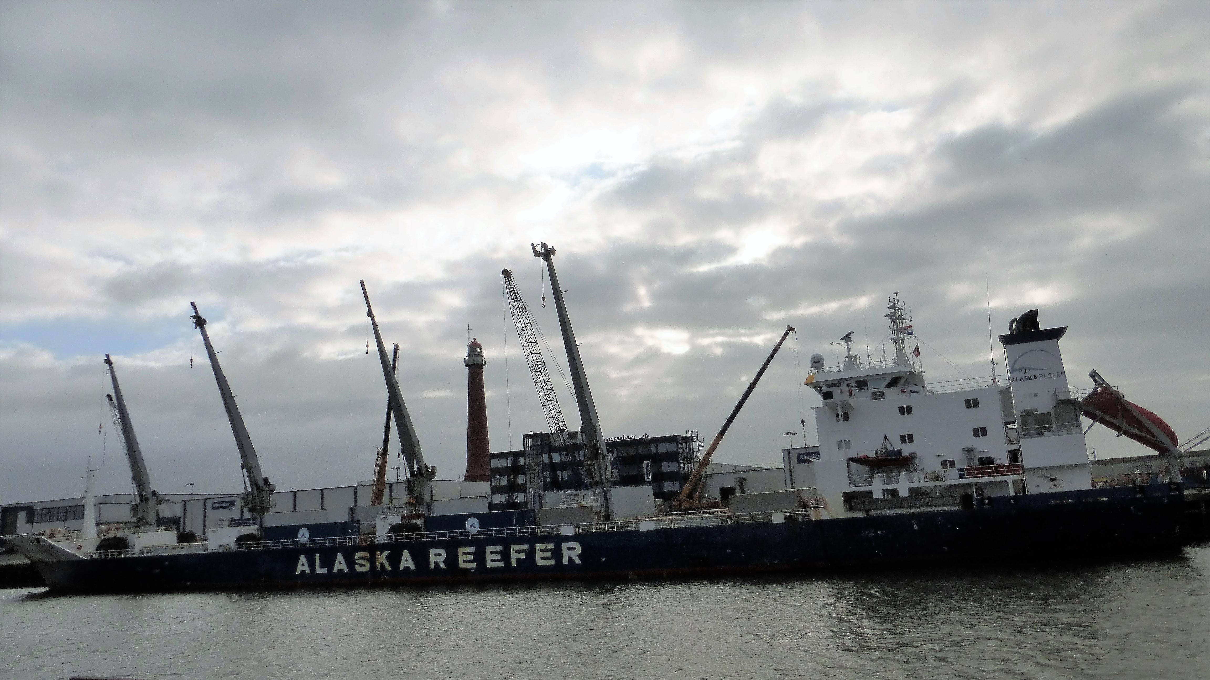 DUNEDIN STAR 